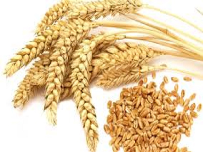 یکسان‌سازی قیمت در صنایع وابسته به آرد و گندم
