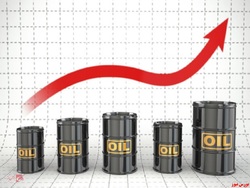 تاثیر طوفان آیدا بر کاهش شدید تولید نفت/قیمت نفت افزایش یافت