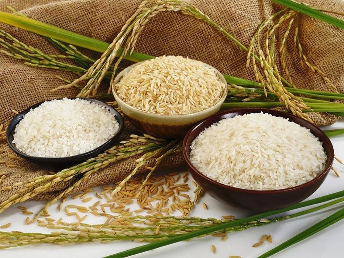 ممنوعیت واردات برنج به کشور پایدار است