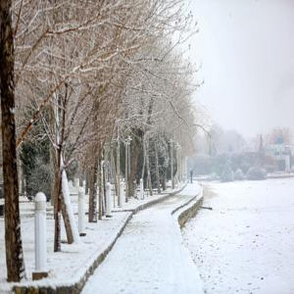 بارش برف و سرمای شدید به تهران نزدیک می‌شود