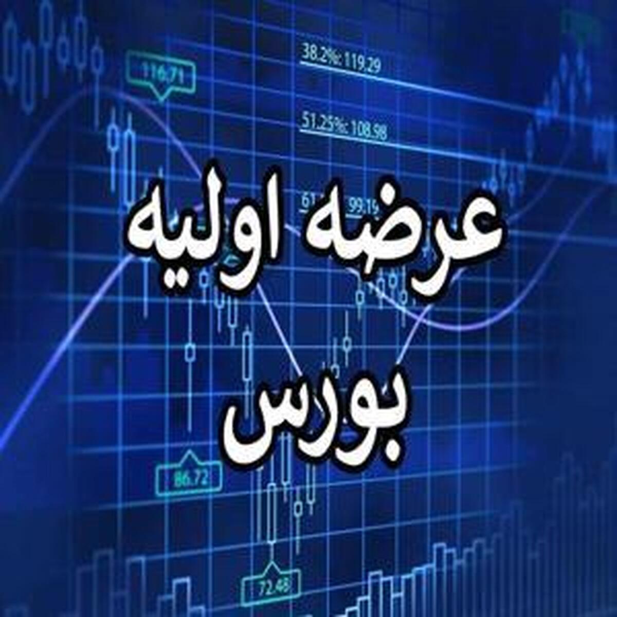 جزئیات عرضه اولیه 