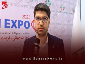 پتروشیمی بوشهر؛ اصلی‌ترین پروژه 