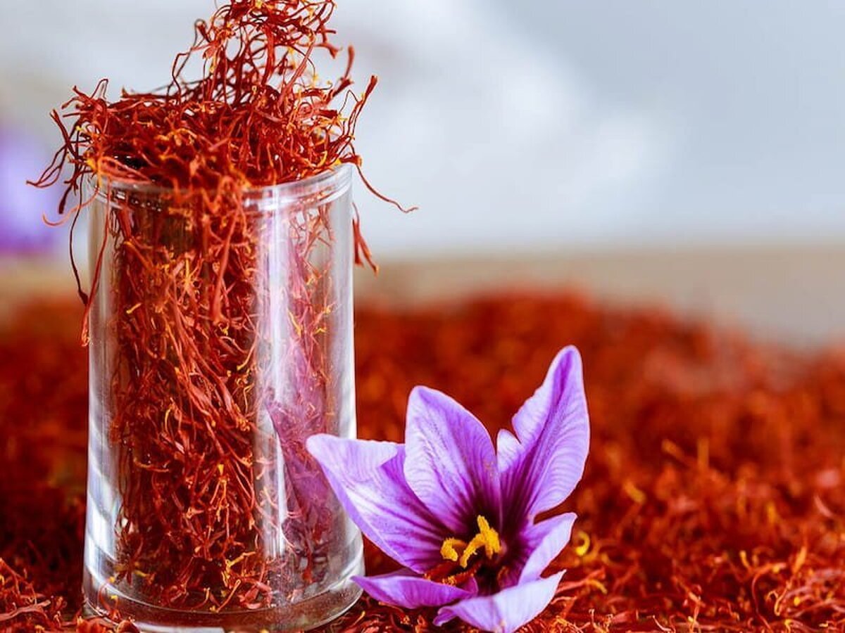عرضه بیش از ۶ هزار کیلوگرم زعفران صادراتی در بورس کالا