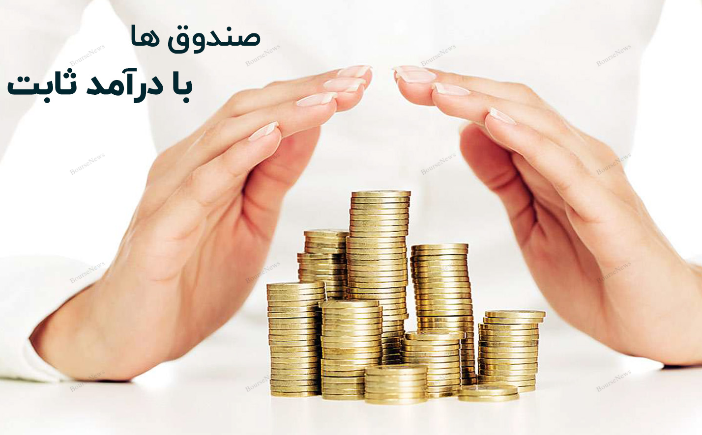 صندوق در سهام برلیان، صندوقی نوپا و مطمئن 